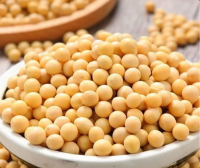 قەرەرلىك مال يېزا-ئىگىلىك مەھسۇلاتلىرى