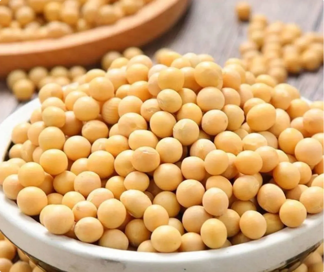 قەرەرلىك مال يېزا-ئىگىلىك مەھسۇلاتلىرى